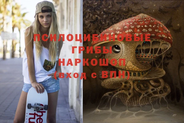 амф Дмитриев