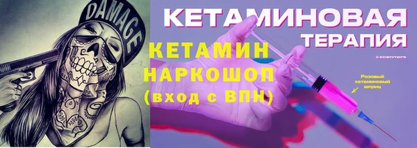 амф Дмитриев