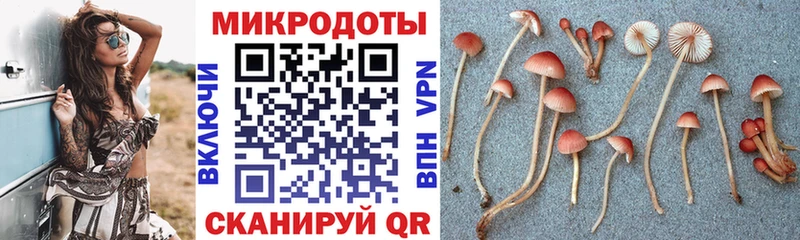Галлюциногенные грибы мицелий Певек